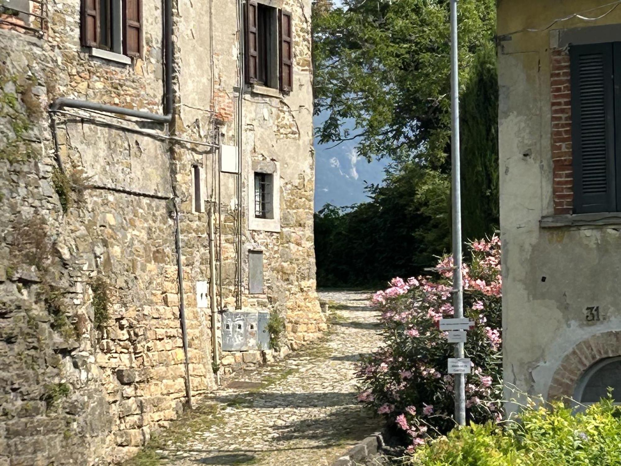 Il Giardino Di Berbech Citta Alta-Ulivo Apartamento Bérgamo Exterior foto